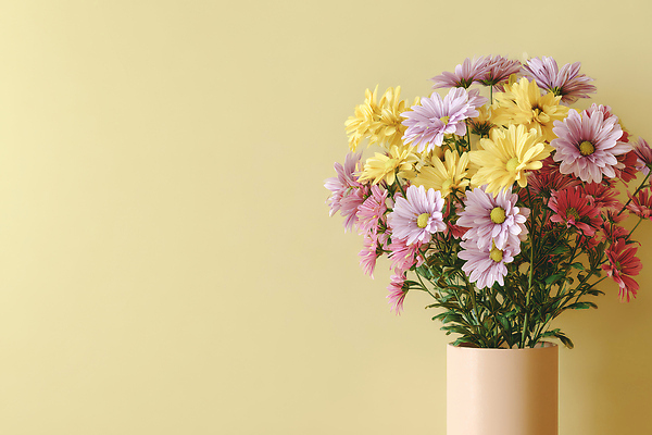 JPG 식물 편집이미지 꽃 분홍색 꽃다발 자연 국화 실내 따뜻함 장식 인테리어 노란색 꽃병 분위기 화사함 편집실사 AI포토 AI콘텐츠 디자인 컬러 컨셉 내부 CG 생태계 파일형식