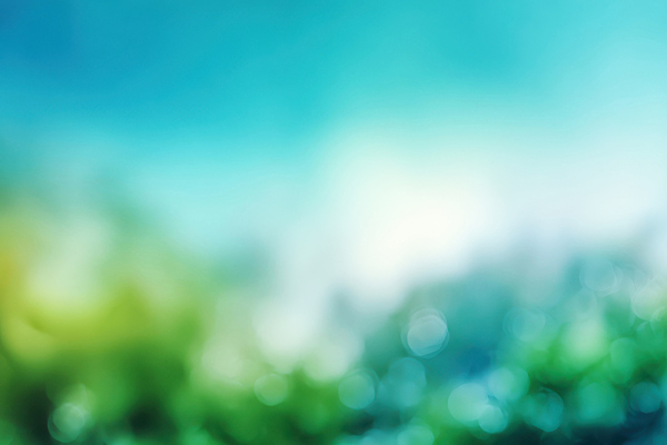 JPG 식물 편집이미지 여유 컬러 백그라운드 자연 하늘 풍경 초록색 파란색 빛 고요 공간 뷰티풀 이미지편집 AI컴퓨터그래픽 AI콘텐츠 감정 생태계 파일형식