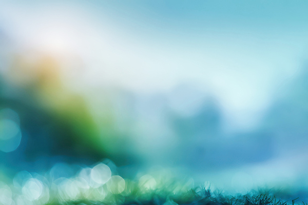 JPG 편집이미지 공원 여유 백그라운드 자연 아침 풍경 잔디 빛 강 햇빛 평화 힐링 녹지 청명 이미지편집 AI컴퓨터그래픽 AI콘텐츠 주간 식물 공공시설 감정 컨셉 태양 생태계 파일형식