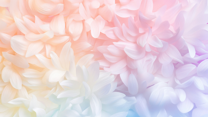 JPG 편집이미지 꽃잎 꽃 컬러 부케 백그라운드 패턴 자연 아침 따뜻함 장식 장면 부드러움 화사함 뷰티풀 이미지편집 주간 식물 꽃다발 컨셉 무늬 감각 생태계 파일형식