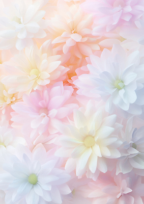 JPG 편집이미지 꽃잎 꽃 분홍색 백그라운드 패턴 자연 흰색 장면 부드러움 화사함 조화 뷰티풀 색감 순간 이미지편집 식물 컬러 컨셉 무늬 감각 생태계 파일형식