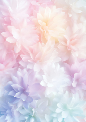 JPG 편집이미지 디자인 계절 꽃 화초 예술 컬러 백그라운드 자연 장식 평화 부드러움 화사함 뷰티풀 차분 이미지편집 식물 컨셉 감각 생태계 파일형식