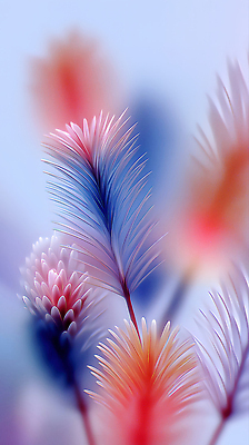 식물 편집이미지 컬러 컨셉 생태계 파일형식 꽃 정원 자연 뷰티풀 파란색 분홍색 화사함 잎 계절 생명 생동감 조화 디자인 JPG 이미지편집