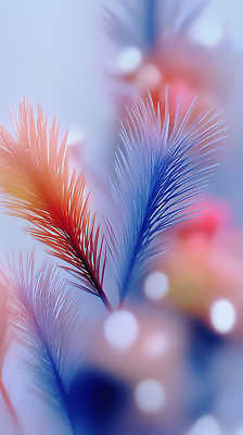 식물 편집이미지 감각 생태계 파일형식 잎 컬러 조화 백그라운드 편안함 부드러움 뷰티풀 강렬 자연 예술 모양 JPG 이미지편집