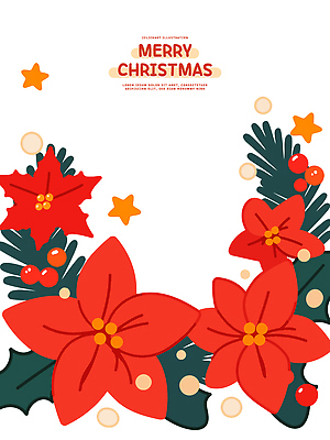 디자인 계절 꽃 행복 별 크리스마스 패턴 일러스트 자연 장식 빨간색 초록색 축제 기쁨 화려 포인세티아 연말 브랜딩 국내일러스트 AI파일 자연요소 식물 기념일 감정 컬러 컨셉 무늬 생태계 파일형식 벡터