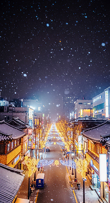 JPG 나무 편집이미지 전통 여행 크리스마스 겨울 조명 새해 거리 서울 한국 풍경 건물 도심 편집실사 식물 건축물 계절 기념일 아시아 도시 CG 파일형식