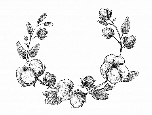 JPG 식물 디자인 꽃 예술 패턴 일러스트 자연 생명 나뭇잎 수채화 프레임 서양음식 흑백 장식 정원 원형 그림 조화 목화꽃 국내일러스트 AI일러스트 AI콘텐츠 도형 음식 잎 무늬 촬영기법 생태계 파일형식