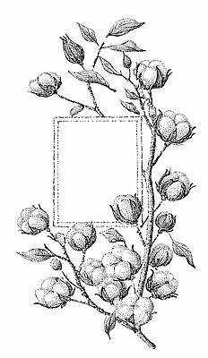 JPG 식물 디자인 꽃 예술 백그라운드 일러스트 자연 가지 수채화 프레임 미술 장식 초록색 정원 다이어리 흰색 목화꽃 국내일러스트 AI일러스트 AI콘텐츠 컬러 채소 문화예술 사무용품 생태계 파일형식