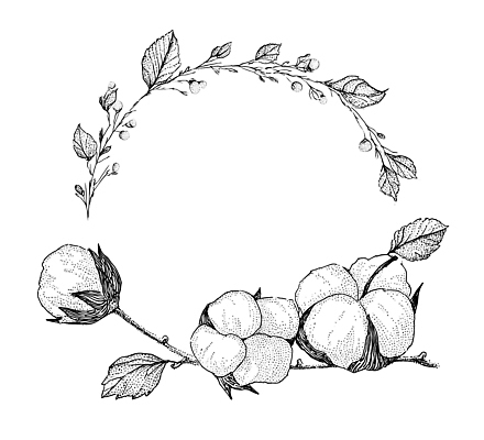 JPG 식물 디자인 꽃 선 잎 일러스트 자연 프레임 흑백 봄 원형 스케치 솜 그림 심플 조화 목화꽃 국내일러스트 AI일러스트 AI콘텐츠 도형 계절 촬영기법 미술 생태계 파일형식