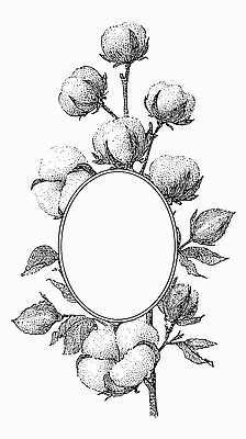 JPG 식물 디자인 예술 줄기 잎 농업 일러스트 자연 프레임 원형 스케치 꽃봉오리 드로잉 목화꽃 국내일러스트 도형 꽃 산업 미술 생태계 파일형식