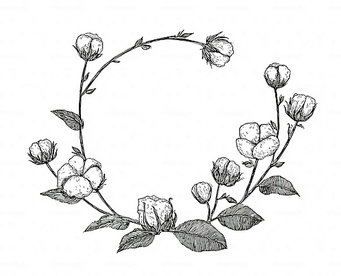 JPG 식물 문양 디자인 꽃잎 꽃 선 잎 일러스트 자연 프레임 풍경 그래픽 장식 표현 그림 목화꽃 국내일러스트 AI일러스트 AI콘텐츠 생태계 파일형식