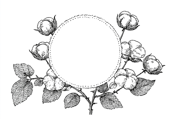 JPG 식물 디자인 예술 백그라운드 일러스트 자연 프레임 그래픽 장식 흐름 원형 그림 손그림 조화 DIY 목화꽃 국내일러스트 AI일러스트 AI콘텐츠 도형 꽃 컨셉 취미 생태계 파일형식