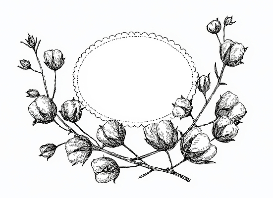 JPG 식물 디자인 예술 백그라운드 꽃무늬 일러스트 자연 프레임 그래픽 장식 표현 그림 손그림 드로잉 목화꽃 제안 스타일 국내일러스트 AI일러스트 AI콘텐츠 꽃 무늬 미술 생태계 파일형식