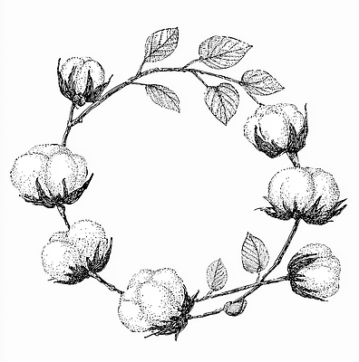 JPG 식물 디자인 꽃 예술 선 잎 패턴 일러스트 자연 프레임 흑백 그래픽 장식 원형 수공예 목화꽃 창의성 국내일러스트 도형 무늬 촬영기법 공예 생태계 파일형식