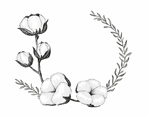 JPG 식물 디자인 꽃 잎 곡선 일러스트 자연 생명 수채화 프레임 장식 고요 성장 꽃봉오리 그림 부드러움 조화 목화꽃 국내일러스트 AI일러스트 AI콘텐츠 선 감각 생태계 파일형식