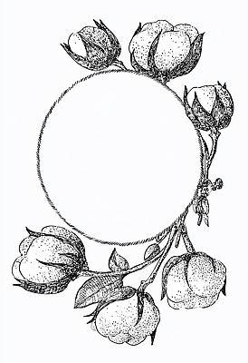 JPG 식물 디자인 꽃 예술 일러스트 자연 프레임 그래픽 장식 빈티지 드로잉 봉오리 목화꽃 디테일 국내일러스트 AI일러스트 AI콘텐츠 컨셉 미술 생태계 파일형식