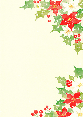 JPG 디자인 꽃 컬러 백그라운드 잎 크리스마스 겨울 일러스트 이벤트 그래픽 장식 빨간색 세트 축제 흰색 포인세티아 자태 테마 국내일러스트 식물 계절 기념일 파일형식