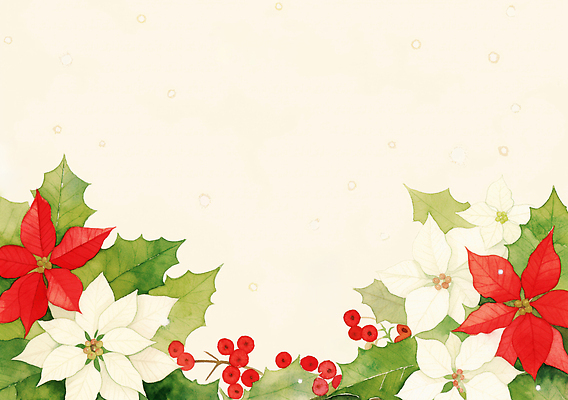 JPG 식물 꽃 컬러 백그라운드 잎 크리스마스장식 크리스마스 겨울 일러스트 자연 장식 축제 분위기 묘사 화사함 포인세티아 겨우살이 색감 연말 국내일러스트 AI일러스트 AI콘텐츠 계절 기념일 컨셉 생태계 파일형식