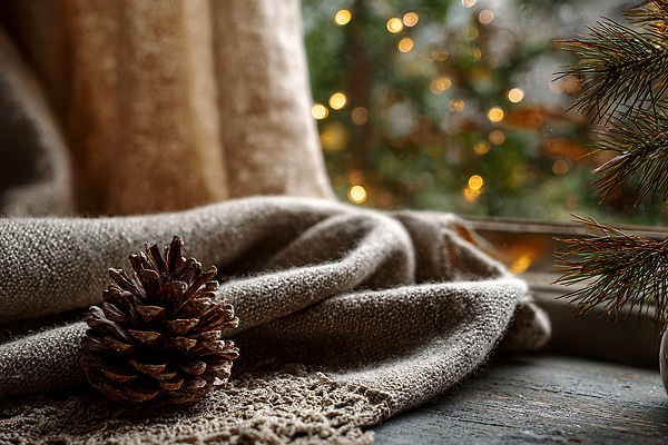 JPG 편집이미지 계절 겨울 거실 촛불 자연 조명 따뜻함 그래픽 인테리어 소나무 편안함 담요 창가 오브젝트 솔방울 편집실사 AI포토 AI콘텐츠 나무 디자인 초 창문 감각 CG 생태계 파일형식