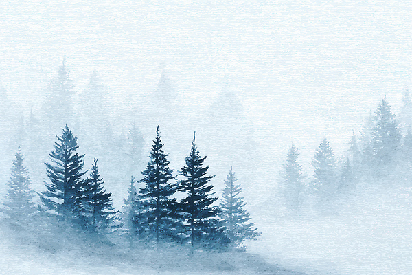 JPG 나무 겨울 일러스트 자연 하늘 아침 산 풍경 초록색 평화 일출 환경 고요 안개 소나무 숲 신비 조용 차분 국내일러스트 AI일러스트 AI콘텐츠 주간 식물 계절 컬러 컨셉 날씨 노을 생태계 파일형식