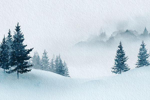 JPG 나무 컬러 겨울 일러스트 자연 아침 날씨 산 풍경 파란색 평화 고요 안개 흰색 차가움 숲 조용 국내일러스트 AI일러스트 AI콘텐츠 주간 식물 계절 컨셉 생태계 파일형식