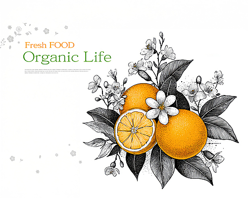 JPG 식물 디자인 꽃 컬러 오렌지 과일 일러스트 재료 자연 건강 밝음 흰색 신선 유기농 식물원 생동감 식생활 국내일러스트 웰빙 생태계 파일형식