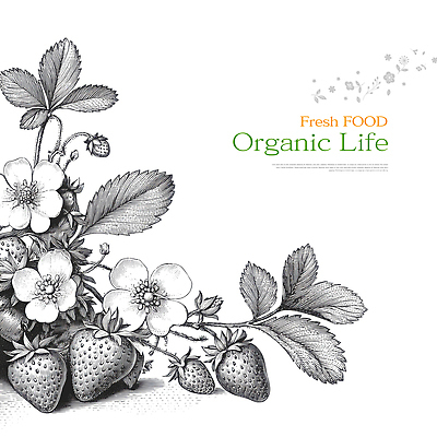 JPG 식물 꽃 예술 꽃밭 채소 과일 일러스트 자연 생명 딸기 일상 농작물 환경 정원 신선 그림 유기농 건강식 아기자기 국내일러스트 AI일러스트 AI콘텐츠 웰빙 음식 컨셉 농업 라이프 생태계 파일형식