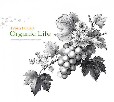 JPG 식물 디자인 꽃잎 꽃 예술 음식 잎 채소 과일 일러스트 자연 생명 포도 건강 농작물 신선 유기농 먹거리 제철 국내일러스트 AI일러스트 AI콘텐츠 웰빙 농업 생태계 파일형식