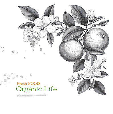 JPG 식물 디자인 꽃 예술 농업 채소 오렌지 과일 일러스트 자연 생명 건강 식사 신선 그림 유기농 국내일러스트 AI일러스트 AI콘텐츠 웰빙 산업 생태계 파일형식