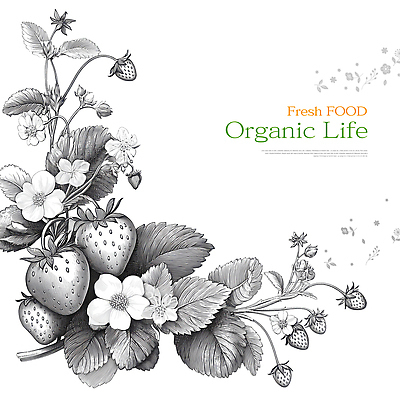 JPG 식물 디자인 꽃 예술 음식 컬러 농업 채소 과일 일러스트 자연 생명 딸기 건강 장식 신선 유기농 텃밭 국내일러스트 AI일러스트 AI콘텐츠 웰빙 산업 밭 생태계 파일형식