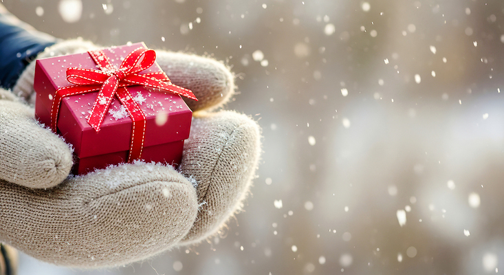 JPG 편집이미지 손 행복 장갑 크리스마스 겨울 자연 따뜻함 선물 풍경 축제 소리 기쁨 소복 편집실사 AI인물포토 AI콘텐츠 잡화 계절 기념일 감정 신체부위 CG 생태계 파일형식 AI포토