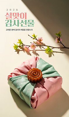 JPG 편집이미지 한국전통 전통 명절 꽃 컬러 포장 선물 이벤트 설날 과자 기쁨 마음 보자기 실크 보따리 감사 2026년 이미지편집 AI컴퓨터그래픽 AI콘텐츠 식물 기념일 감정 디저트 한국 직물 연도 파일형식 천_직물