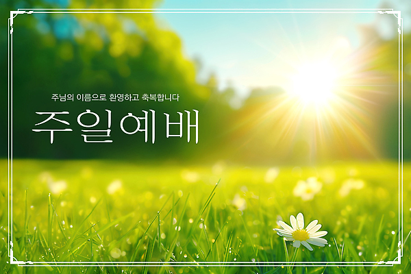 JPG 편집이미지 기독교 자연 아침 잔디 여러명 햇빛 교회 평화 모임 기도 일주일 하나님 신도 예배 찬양 숭배 이미지편집 AI컴퓨터그래픽 AI콘텐츠 주간 식물 종교 다수 컨셉 종교건축 사람 건물 태양 신_종교 생태계 파일형식