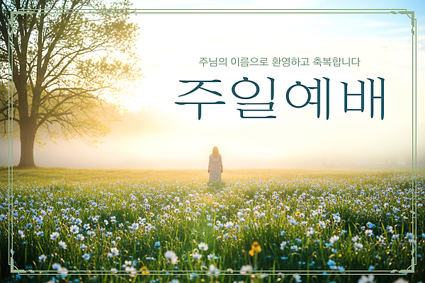 JPG 편집이미지 꽃 기독교 종교 자연 아침 사람 풍경 햇빛 평화 기도 일주일 숲 예배 이미지편집 AI컴퓨터그래픽 AI콘텐츠 주간 식물 컨셉 태양 생태계 파일형식