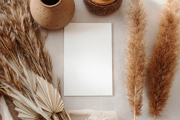 JPG 식물 편집이미지 디자인 여유 컬러 백그라운드 자연 인테리어 빈티지 도자기 분위기 편안함 오브젝트 조화 편집실사 AI포토 AI콘텐츠 감정 컨셉 감각 CG 생태계 파일형식