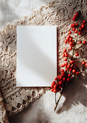 JPG 편집이미지 디자인 계절 열매 크리스마스 탁자 인테리어 햇빛 레이싱 상차림 오브젝트 장면 편집실사 AI포토 AI콘텐츠 식물 기념일 가구 시합 태양 CG 파일형식