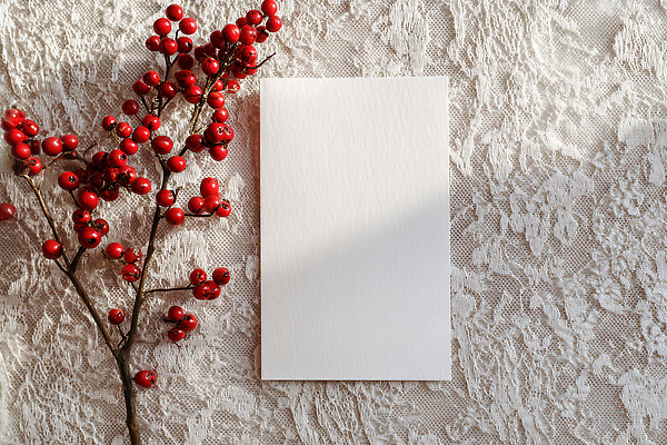 JPG 편집이미지 디자인 포즈 백그라운드 크리스마스 자연 가지 장식 촬영 레이싱 배열 오브젝트 편집실사 AI포토 AI콘텐츠 기념일 채소 시합 CG 생태계 파일형식