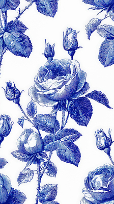 JPG 식물 디자인 꽃잎 꽃 예술 백그라운드 잎 패턴 일러스트 자연 장식 파란색 장미 정원 흰색 감성 봉오리 국내일러스트 컬러 컨셉 무늬 생태계 파일형식