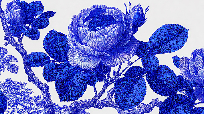 JPG 식물 디자인 꽃 예술 컬러 잎 패턴 일러스트 자연 생명 장식 파란색 장미 표현 우아함 인쇄 감성 고풍 국내일러스트 AI일러스트 AI콘텐츠 컨셉 무늬 생태계 파일형식