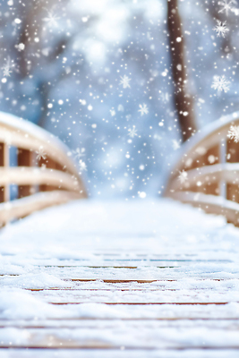 JPG 나무 편집이미지 계절 설경 겨울 모션 자연 풍경 야외 쌓기 고요 산책 추위 흰색 눈송이 다리밑 눈내림 편집실사 AI컴퓨터그래픽 AI콘텐츠 식물 컬러 휴식 눈_날씨 다리_건축물 아래 CG 생태계 파일형식