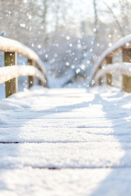 JPG 나무 편집이미지 겨울 자연 바람 풍경 야외 평화 얼음 산책 흰색 방울 눈송이 숲 조용 기온 다리밑 풍경화 눈내림 편집실사 AI컴퓨터그래픽 AI콘텐츠 자연요소 식물 계절 컬러 컨셉 날씨 휴식 눈_날씨 장식 다리_건축물 아래 CG 그림 생태계 파일형식