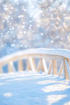 JPG 나무 편집이미지 계절 여행 겨울 자연 하늘 풍경 빛 평화 맑음 고요 눈송이 부드러움 조용 다리밑 눈내림 편집실사 AI컴퓨터그래픽 AI콘텐츠 식물 컨셉 날씨 눈_날씨 다리_건축물 감각 아래 CG 생태계 파일형식