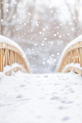 JPG 나무 편집이미지 여행 크리스마스 겨울 자연 산 풍경 고요 산책 만남 흰색 조용 눈싸움 다리밑 스노우 눈내림 편집실사 AI컴퓨터그래픽 AI콘텐츠 식물 계절 기념일 컬러 컨셉 휴식 눈_날씨 다리_건축물 아래 CG 생태계 싸움 파일형식