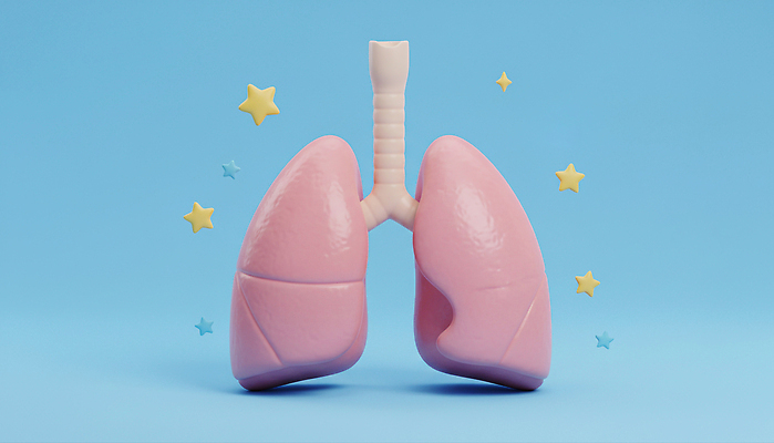 컬러 3D 호흡기관 파일형식 AI콘텐츠 허파 모델 교육 건강 생명 디자인 파란색 분홍색 모형 의학 기관 JPG 편집이미지 편집3D AI컴퓨터그래픽