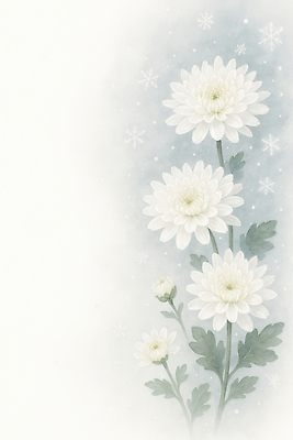 식물 계절 꽃 컬러 컨셉 겨울 생태계 파일형식 국화 흰색 자연 우아함 백그라운드 화초 생명 조화 꽃잎 잎 장식 국내일러스트 일러스트 JPG 겨울꽃