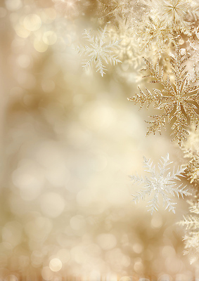 JPG 편집이미지 계절 백그라운드 크리스마스 겨울 자연 빛 반짝임 산타클로스 고요 금색 눈송이 분위기 차가움 부드러움 보케백그라운드 이미지편집 AI컴퓨터그래픽 AI콘텐츠 기념일 컬러 컨셉 모션 눈_날씨 감각 생태계 보케 파일형식