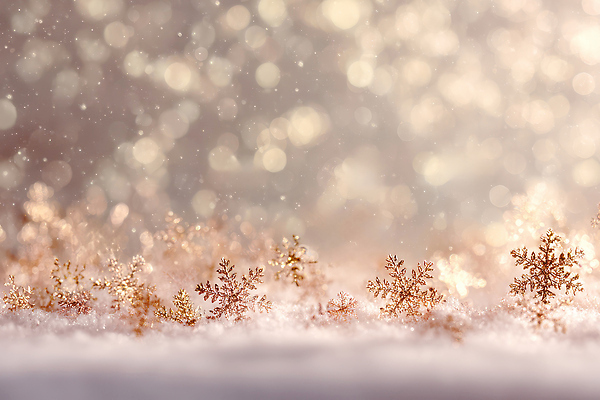 JPG 편집이미지 크리스마스 겨울 자연 풍경 잔디 반짝임 햇빛 흰색 눈송이 민들레 색감 눈내림 보케백그라운드 이미지편집 AI컴퓨터그래픽 AI콘텐츠 식물 계절 기념일 꽃 컬러 백그라운드 모션 눈_날씨 태양 생태계 보케 파일형식