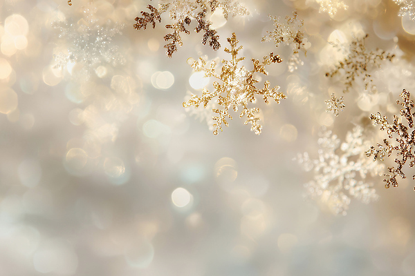 JPG 편집이미지 계절 겨울 자연 천사 풍경 공중 장식 빛 눈송이 떨어짐 차가움 신비 부드러움 보케백그라운드 이미지편집 AI컴퓨터그래픽 AI콘텐츠 백그라운드 컨셉 눈_날씨 감각 생태계 보케 파일형식