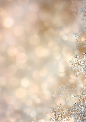 JPG 편집이미지 백그라운드 크리스마스 겨울 자연 눈꽃 빛 반짝임 장면 보케백그라운드 홉 이미지편집 AI컴퓨터그래픽 AI콘텐츠 식물 계절 기념일 모션 눈_날씨 생태계 보케 파일형식