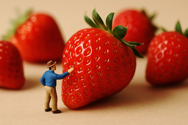 직업 농업 과일 모션 모형 CG 생태계 파일형식 딸기 농부 미니어처 관찰 장면 농작물 농사 그래픽 상상력 식물 색감 자연 편집실사 편집이미지 JPG